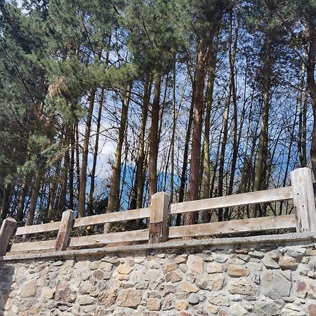 Hotel El Nuevo Semellon Aceptamos Mascotas Tineo Buitenkant foto