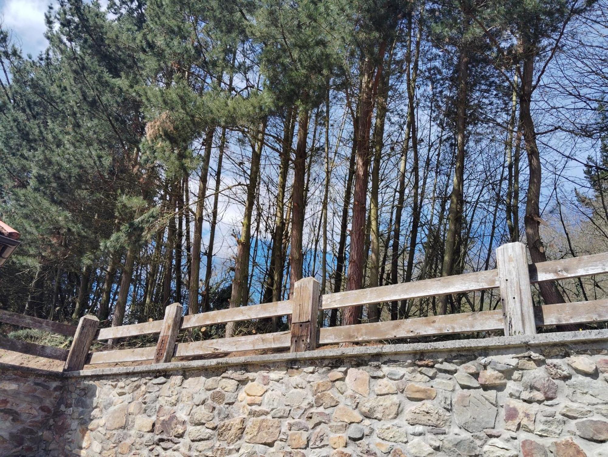 Hotel El Nuevo Semellon Aceptamos Mascotas Tineo Buitenkant foto
