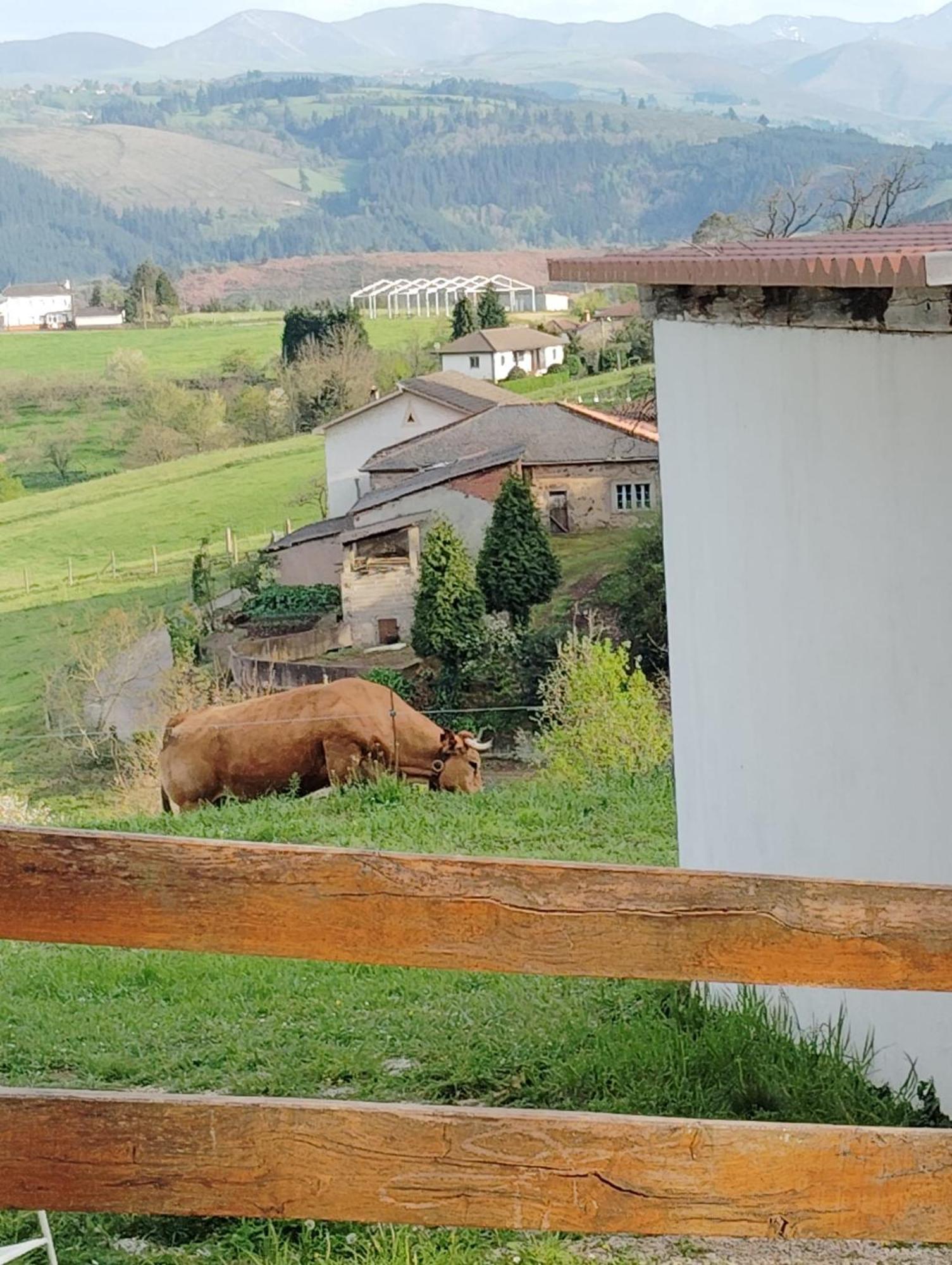 Hotel El Nuevo Semellon Aceptamos Mascotas Tineo Buitenkant foto
